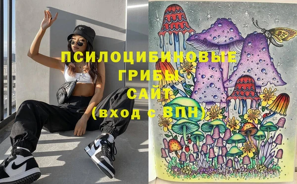 марки nbome Аркадак