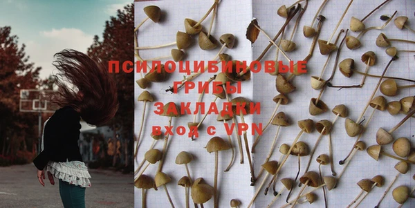 дживик Армянск