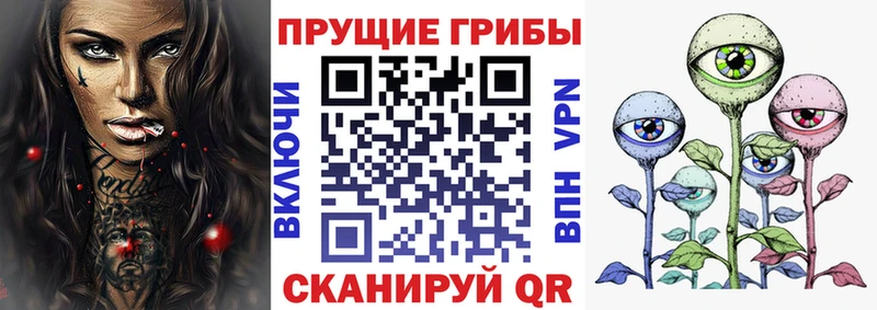 Псилоцибиновые грибы мицелий  как найти наркотики  МЕГА как войти  Судак 